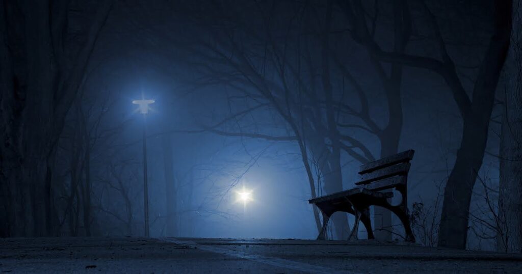 夜空と公園の風景画像