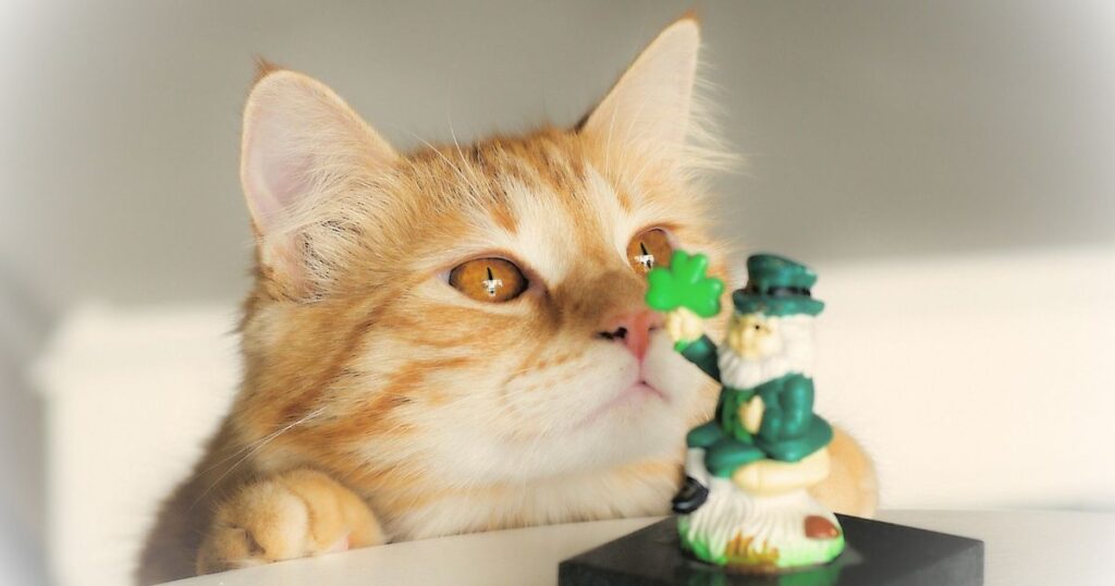 クローバーを持った陶器で出来た人形のにおいをかぐ猫